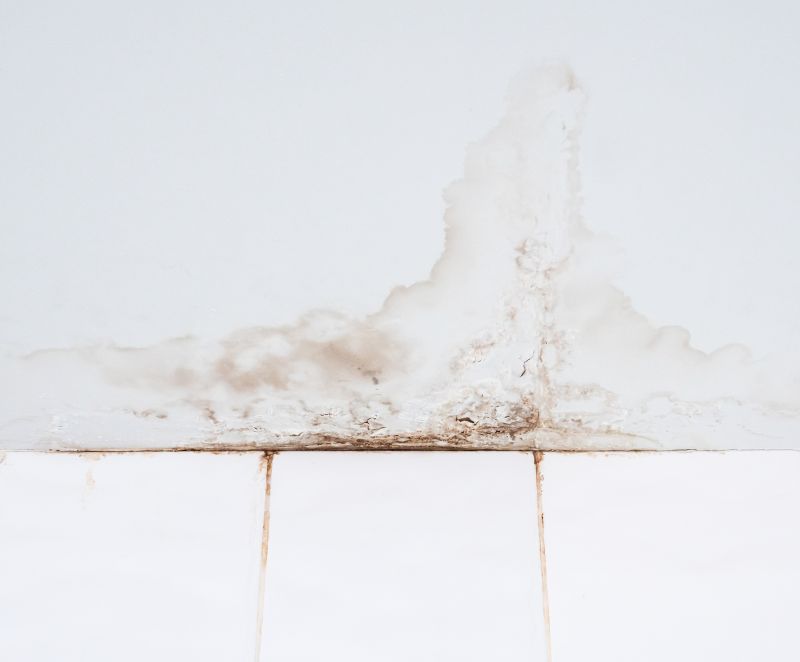 Ceiling Leak Repair Service in Denver, CO